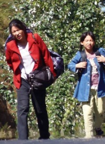 杰登·艾维